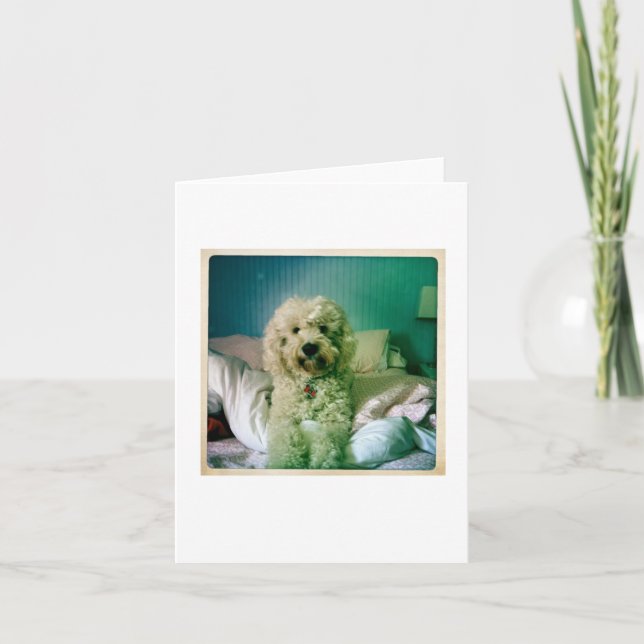 Cute Notecard Goldendoodle (Front)