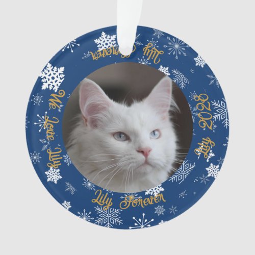 Cute Now and Then 2 Photo Pet Christmas Ornament
