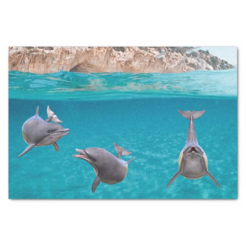 Cute Ocean Dolphin Lover Sealife Ocean  Tissue Paper