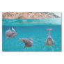 Cute Ocean Dolphin Lover Sealife Ocean  Tissue Paper