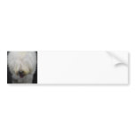 Cute Old English Sheepdog Bumper Sticker