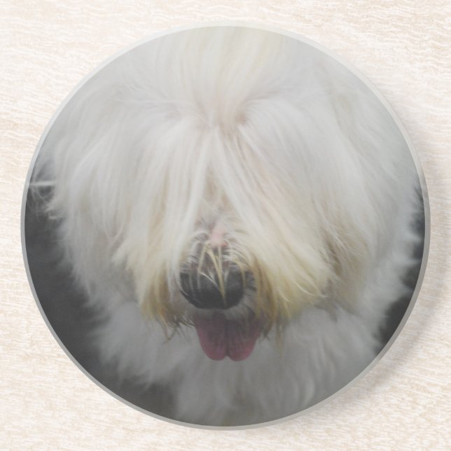 Cute Old English Sheepdog Coaster (Front)