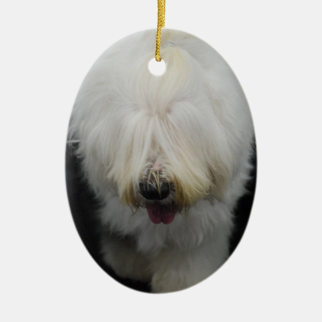 Cute Old English Sheepdog Ornament (Front)