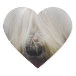 Cute Old English Sheepdog  Stickers