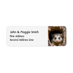 Cute Oppossum Animal Nature Wildlife Art Label