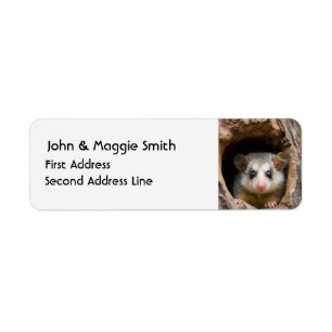 Cute Oppossum Animal Nature Wildlife Art Label