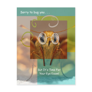 Cute Optometry Eye Exam Appointment Reminder Postcard