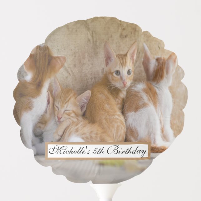 Cute Orange and White Tabby Kitten/Ginger Cat Balloon (Front)