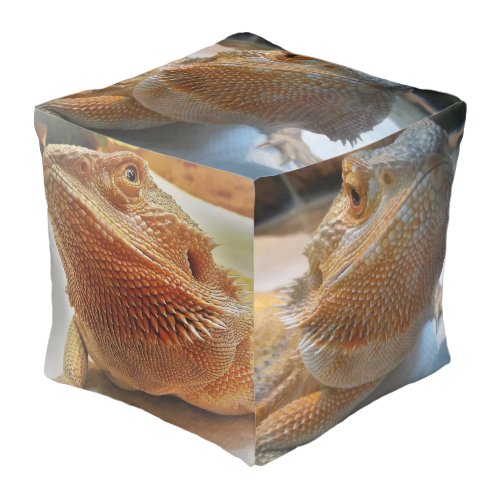 Cute Orange Bearded Dragon Pictures Large Pouf