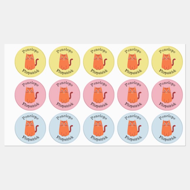 Cute Orange Cartoon Tabby Cat With Name Kids' Labels (Sheet)