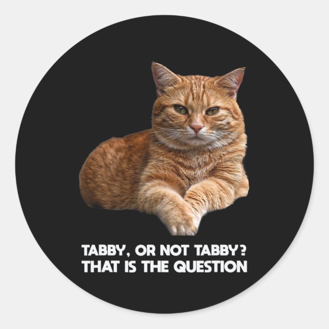 Cute Orange Cat  Classic Round Sticker (Front)