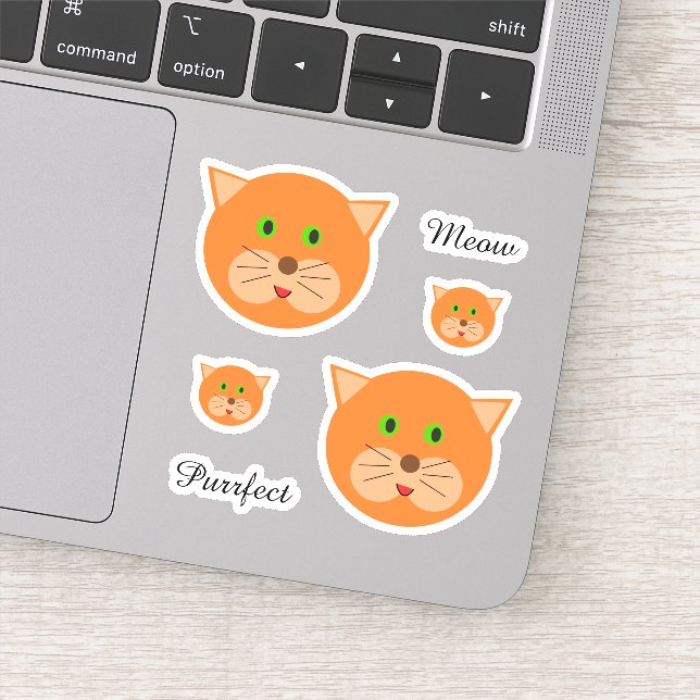Cute Orange Cat Face and Text Sticker (Detail)