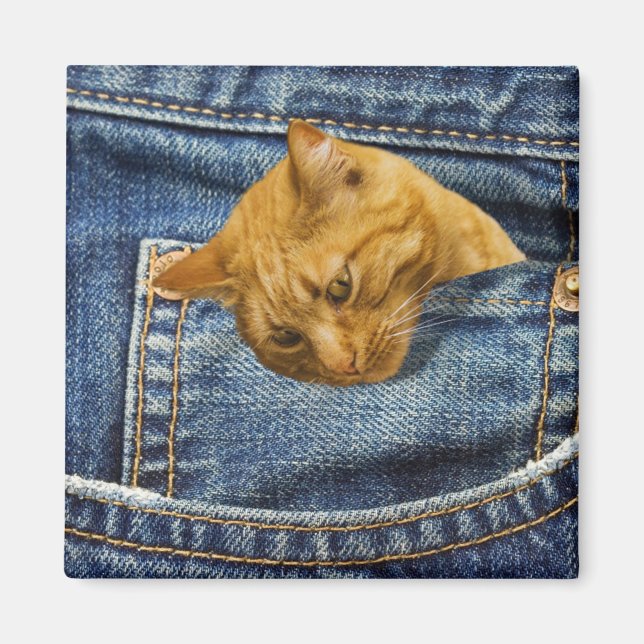 Cute Orange Cat in Denim Pocket Funny Animal Gift Magnet (Front)