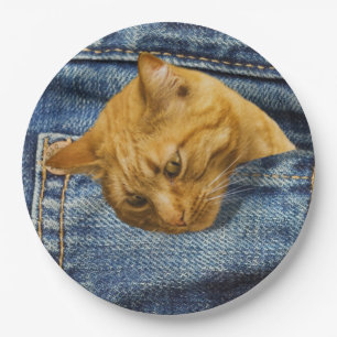 Cute Orange Cat in Denim Pocket Funny Animal Gift Paper Plates