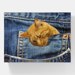 Cute Orange Cat in Denim Pocket Funny Animal Gift Paperweight