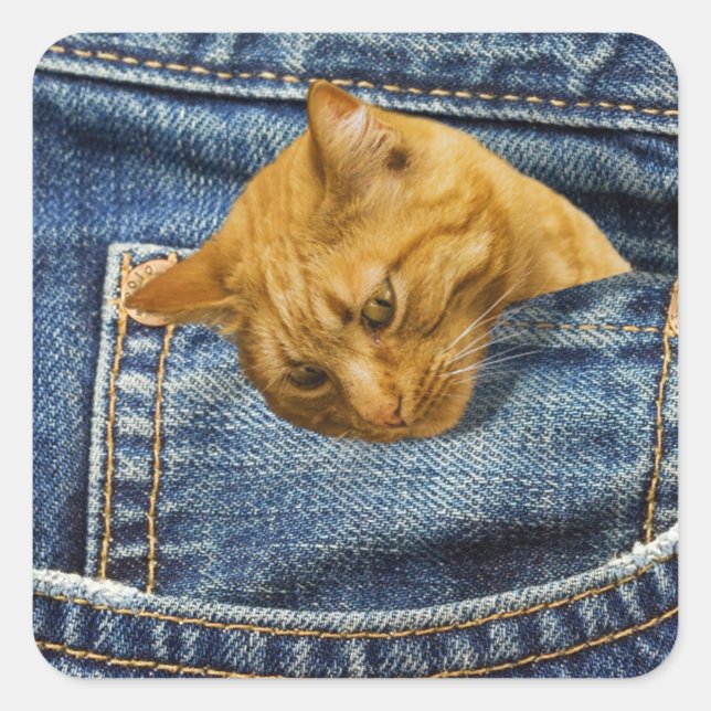 Cute Orange Cat in Denim Pocket Funny Animal Gift Square Sticker (Front)