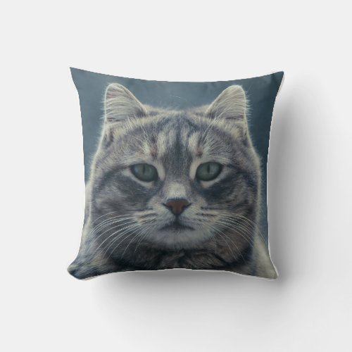 Cute Orange Cat Looking Up Throw Pillow | Cozy Pet