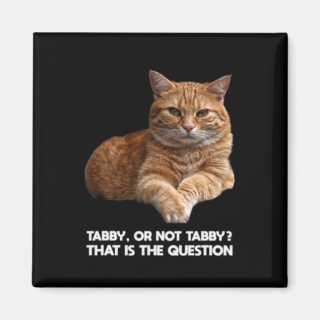 Cute Orange Cat  Magnet (Front)