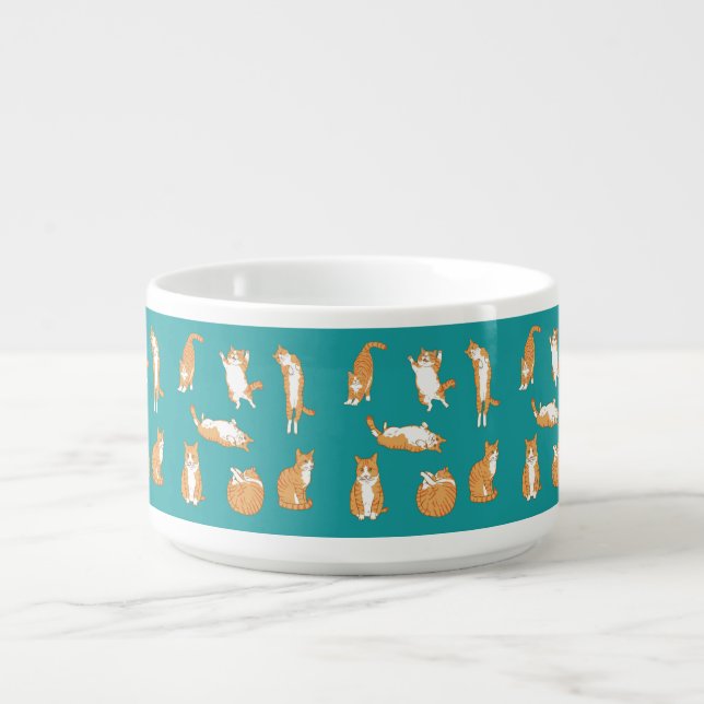  Cute Orange Cat Poses Bowl (Center)