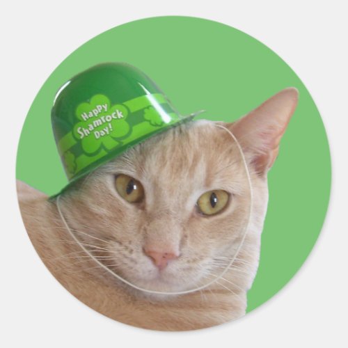 Cute Orange Cat Wearing a Green Irish Hat Classic Round Sticker