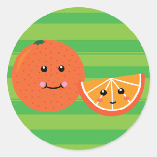 Cute Orange Classic Round Sticker