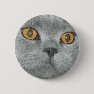 Cute Orange Eyed Kitty Button