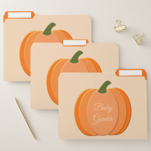 Cute Orange Gender Neutral Pumpkin Custom File Folder