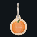 Cute Orange Gender Neutral Pumpkin Custom Pet ID Tag<br><div class="desc">This awesome pet tag features a digital art image of a cute orange pumpkin with 3 different shades of orange getting darker towards the edges of the pumpkin. There is a green stalk attached to the top. The design is gender neutral making it a perfect design for celebrating a baby...</div>