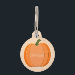 Cute Orange Gender Neutral Pumpkin Custom Pet ID Tag<br><div class="desc">This awesome pet tag features a digital art image of a cute orange pumpkin with 3 different shades of orange getting darker towards the edges of the pumpkin. There is a green stalk attached to the top. The design is gender neutral making it a perfect design for celebrating a baby...</div>