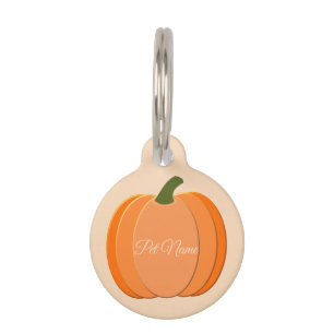 Cute Orange Gender Neutral Pumpkin Custom Pet ID Tag