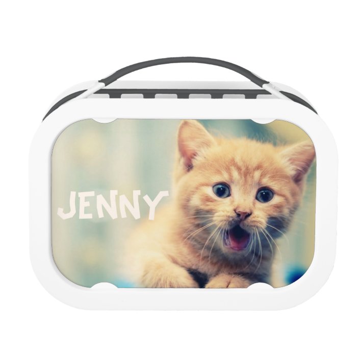 Cute Orange Kitten Cat Lunch Box School
