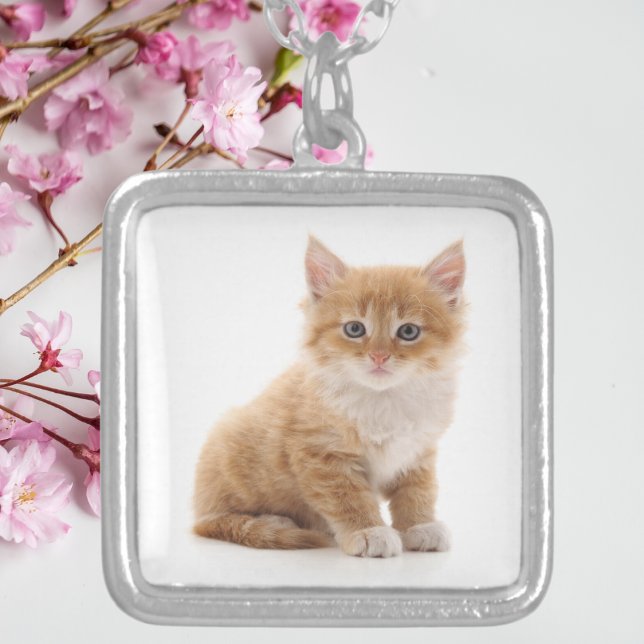 Cute Orange Kitten Photo  Silver Plated Necklace (Creator Uploaded)