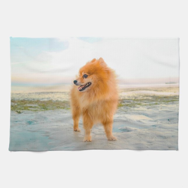 Cute Orange Pomeranian on Sandy Beach Towel (Horizontal)