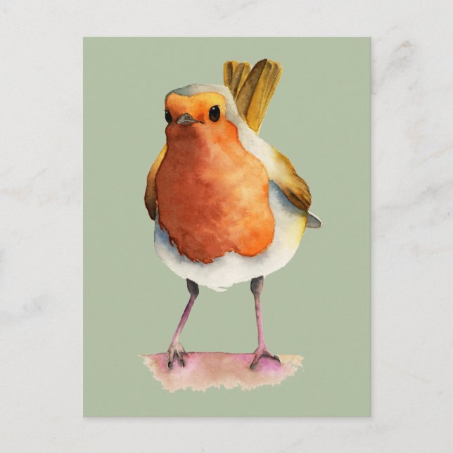 Cute Orange Robin Bird Watercolor Art Postcard (Front)
