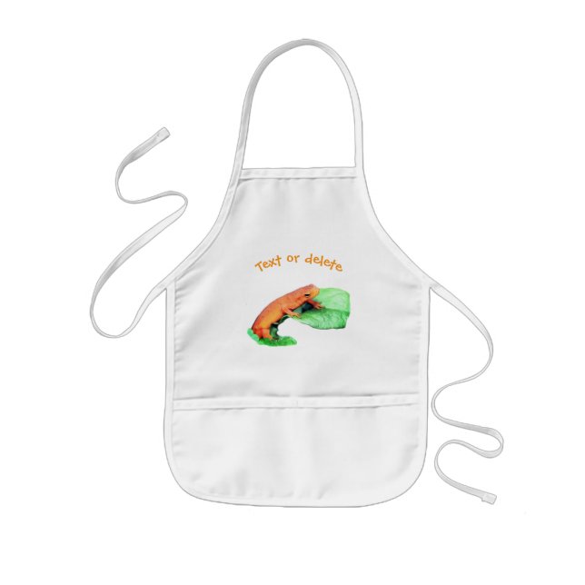 Cute Orange Salamander Nature Personalized Kids' Apron (Front)