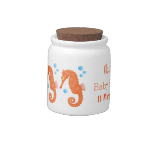 Cute orange seahorse bubbles cartoon illustration candy jar
