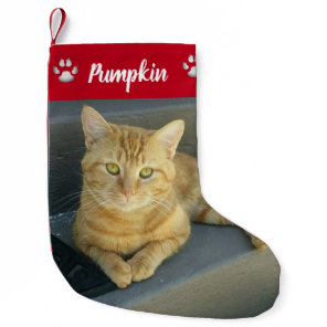 Cute Orange Tabby Cat Custom Pet Photo Red Name Small Christmas Stocking