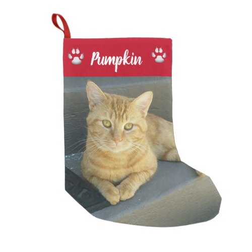 Cute Orange Tabby Cat Custom Pet Photo Red Name Small Christmas Stocking