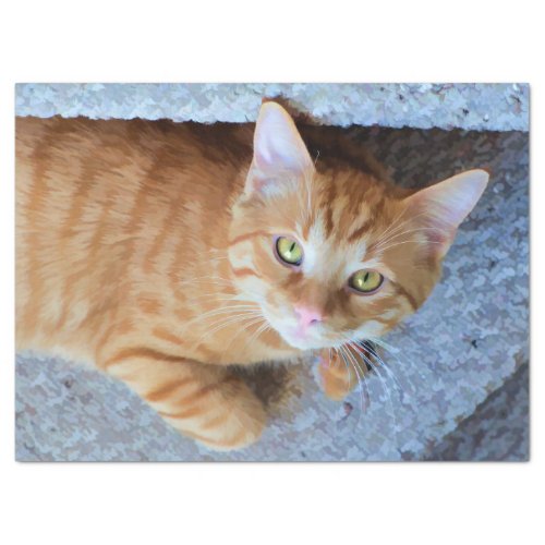 Cute Orange Tabby Cat Decoupage Tissue Paper