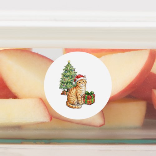 Cute Orange Tabby Cat in Santa Hat Christmas Holid Labels