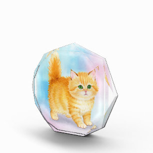 Cute Orange Tabby Cat Photo Block
