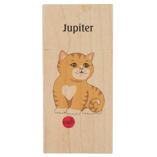 Cute Orange Tabby Kitty Cat Wood Flash Drive