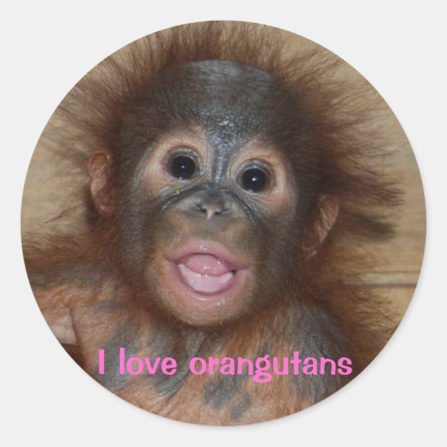 Cute orangutan baby classic round sticker (Front)