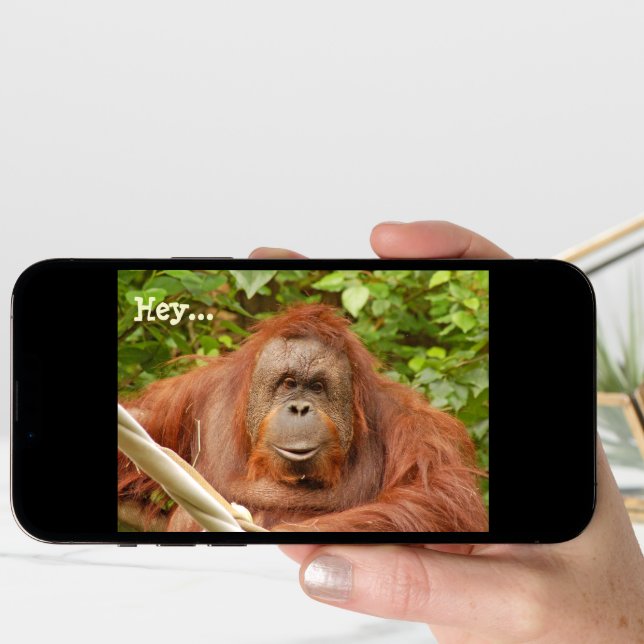 Cute orangutan birthday greeting card (Front Digital)
