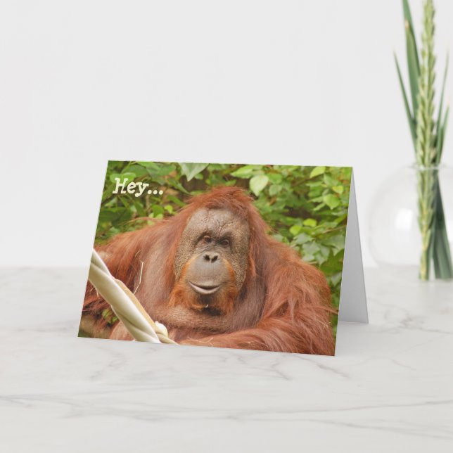Cute orangutan birthday greeting card (Front)