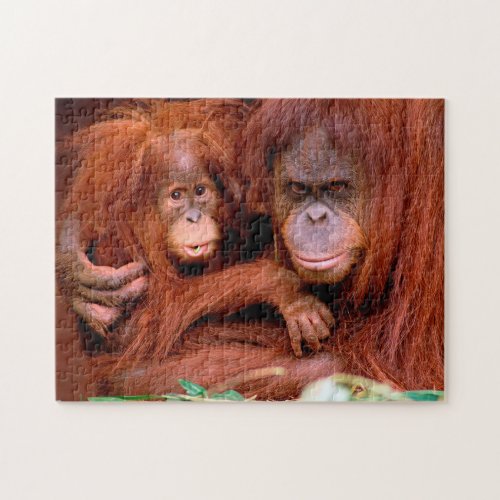 Cute Orangutan Mom and Baby Jigsaw Puzzle
