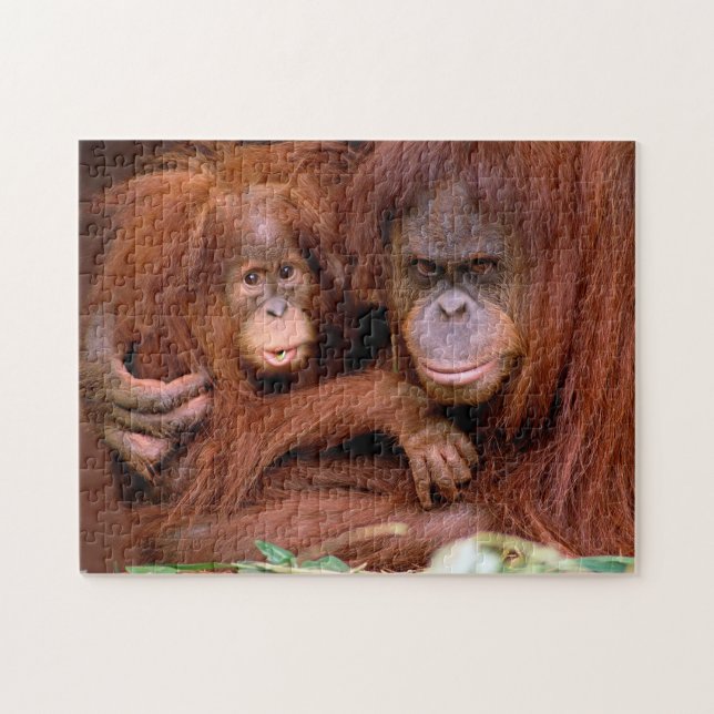 Cute Orangutan Mom and Baby, Jigsaw Puzzle (Horizontal)