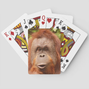 Cute orangutan poker cards