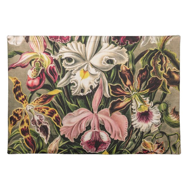 Cute Orchids Bouquet by Ernst Haeckel  Cloth Placemat (Front)