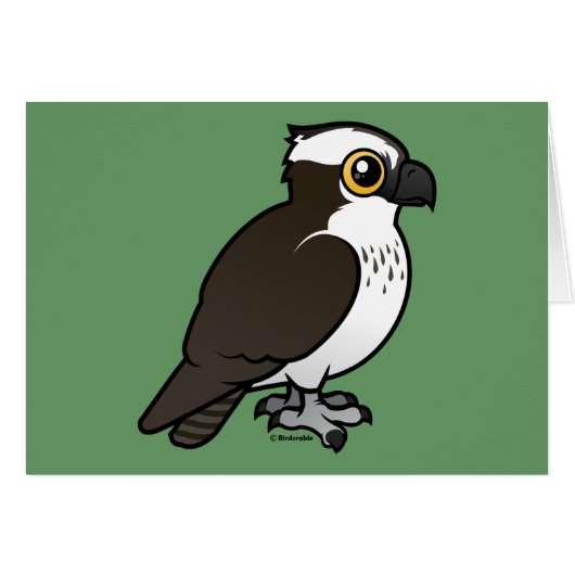 Cute Osprey Cards (Front Horizontal)